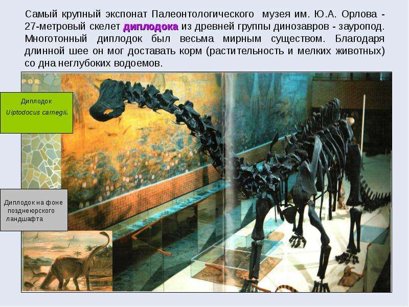 img13 (1)