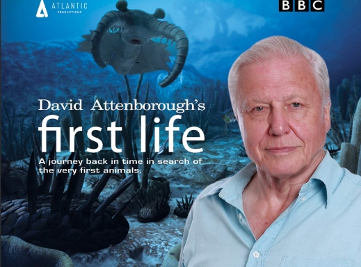 First.Life.with.David.Attenborough.jpg