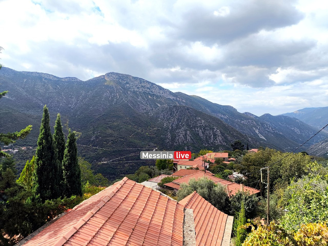 LADASIMG-20251012-131514