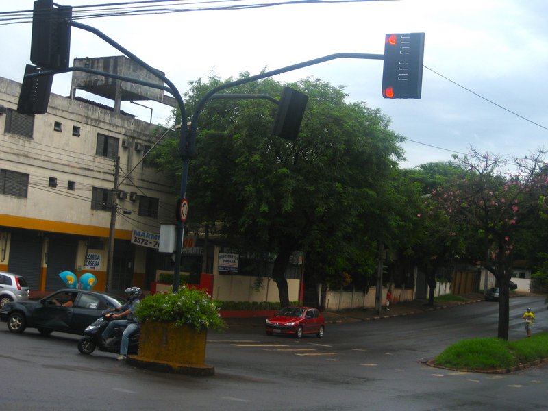 Parque de las Aves-25-2-2010 - Brasil y sus pueblos-2010 (5)