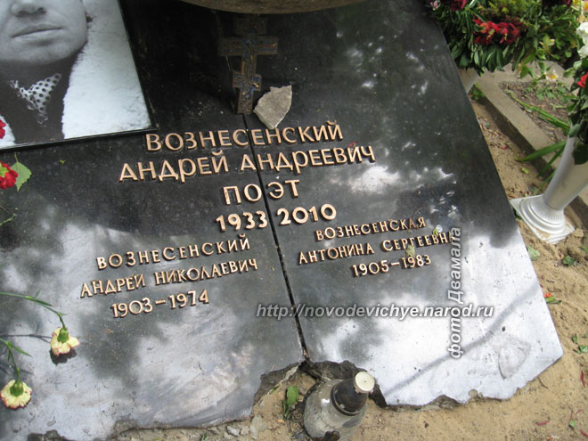 voznesenskiy-andrei3