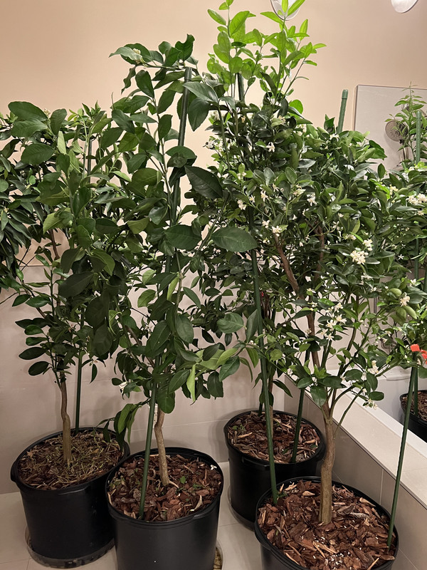 21BBBBCF-1A41-4B7E-92CA-6628E2319057