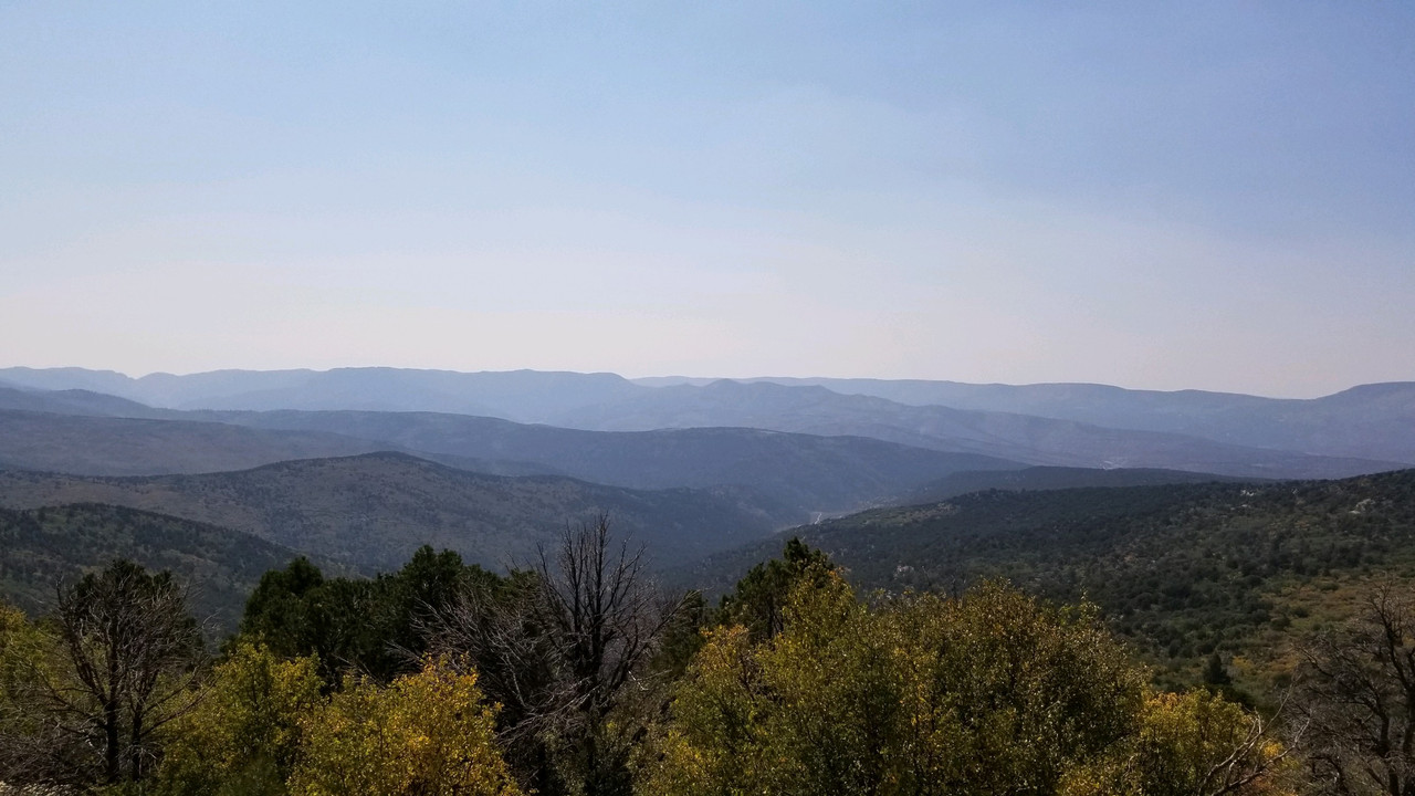 A1C1139C-CBAE-4AC8-92EE-778E495F7F9C