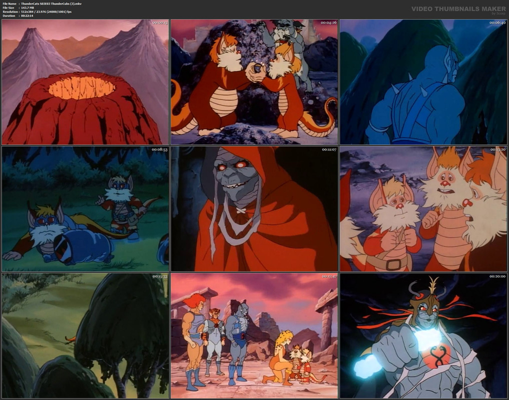 ThunderCats S03E03 ThunderCubs (3).mkv