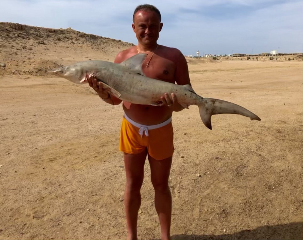 2D361D7B-5E72-4F7B-9F92-DC8EB14456DB