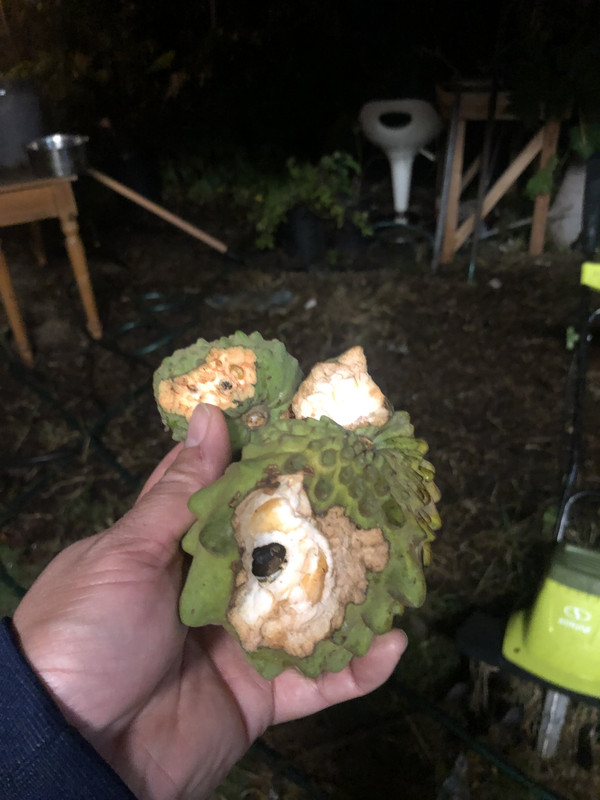 AD72F566-CDE2-423E-BCB2-4720B92F86B0