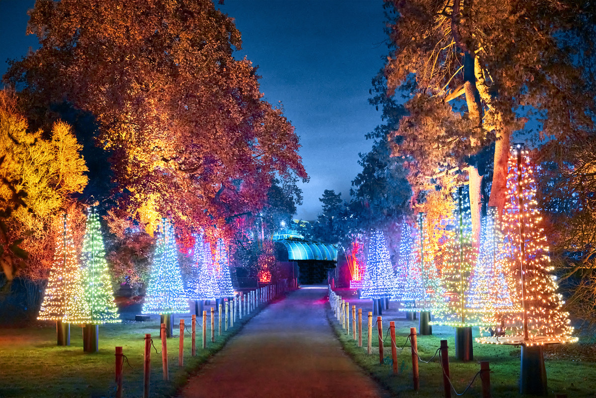Christmas-at-Kew-2021-Credit-Richard-Haughton-7