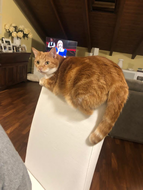 A7261307-EB4D-4A8E-BBFC-B66DBDF2D90B