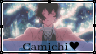 https://i.postimg.cc/R0qpGsfy/Camichi-4.gif