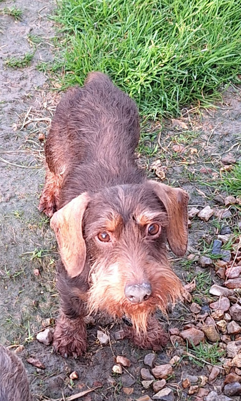 [Image: 20240426-193423.jpg]