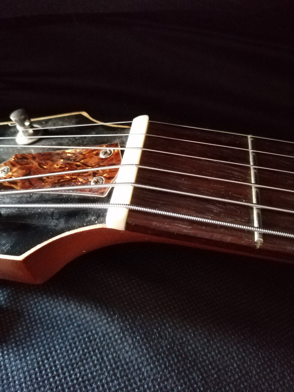 Godin 5th Avenue new wider nut string spacing The Acoustic Guitar Forum