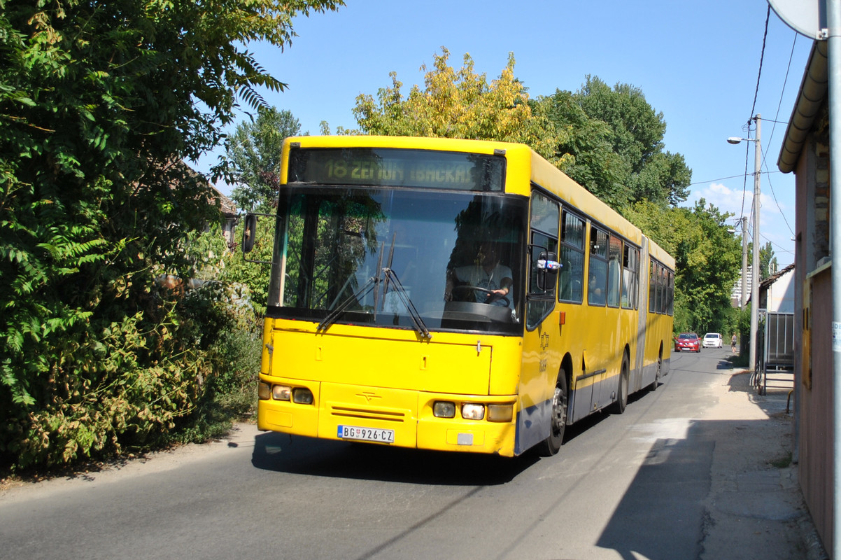 CSC_0246