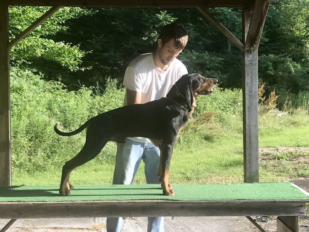 0BF9A0BD-C018-4C82-BC7A-818B1BCA593D