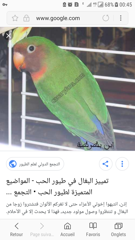 Screenshot_20180831-004505