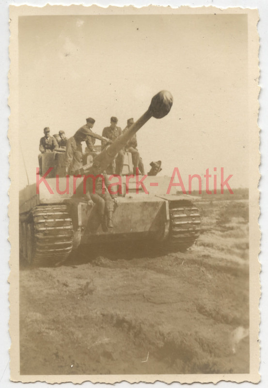 Foto Wehrmacht Gebirgsjäger Reg. 139 Russland Panzer Tiger Front