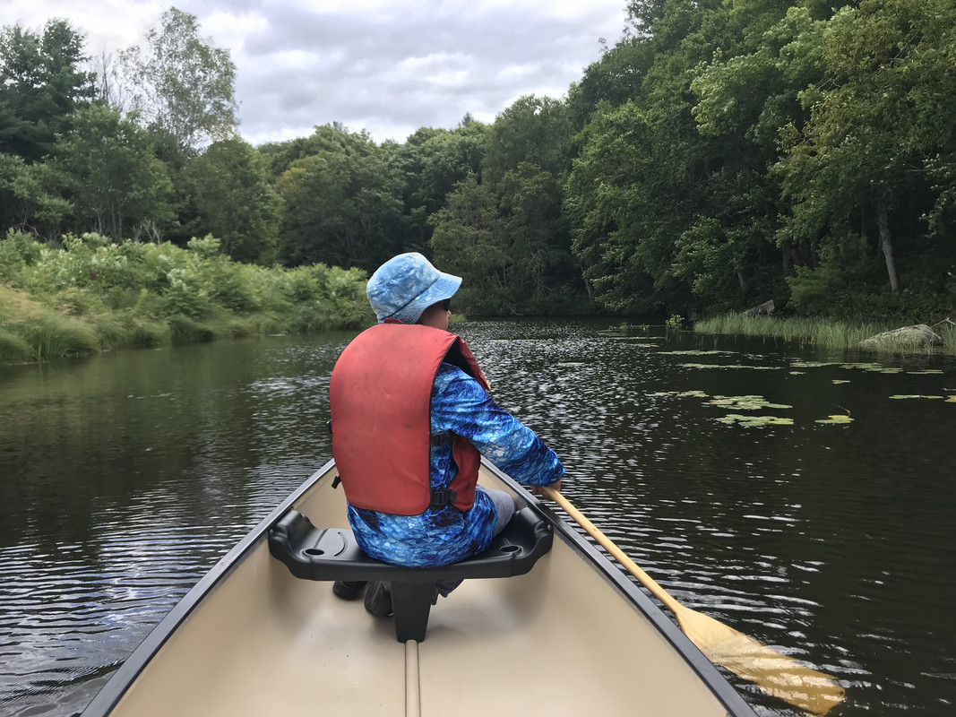 25FF3203-D0C8-490D-A11D-C9D3050DBDFD