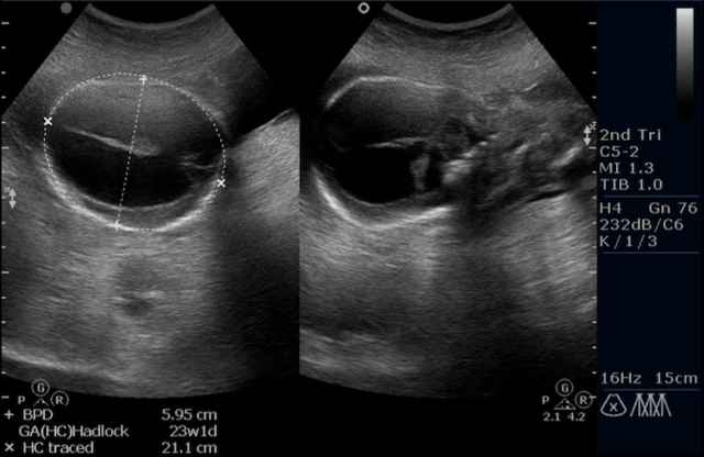 screen-capture-1(27)