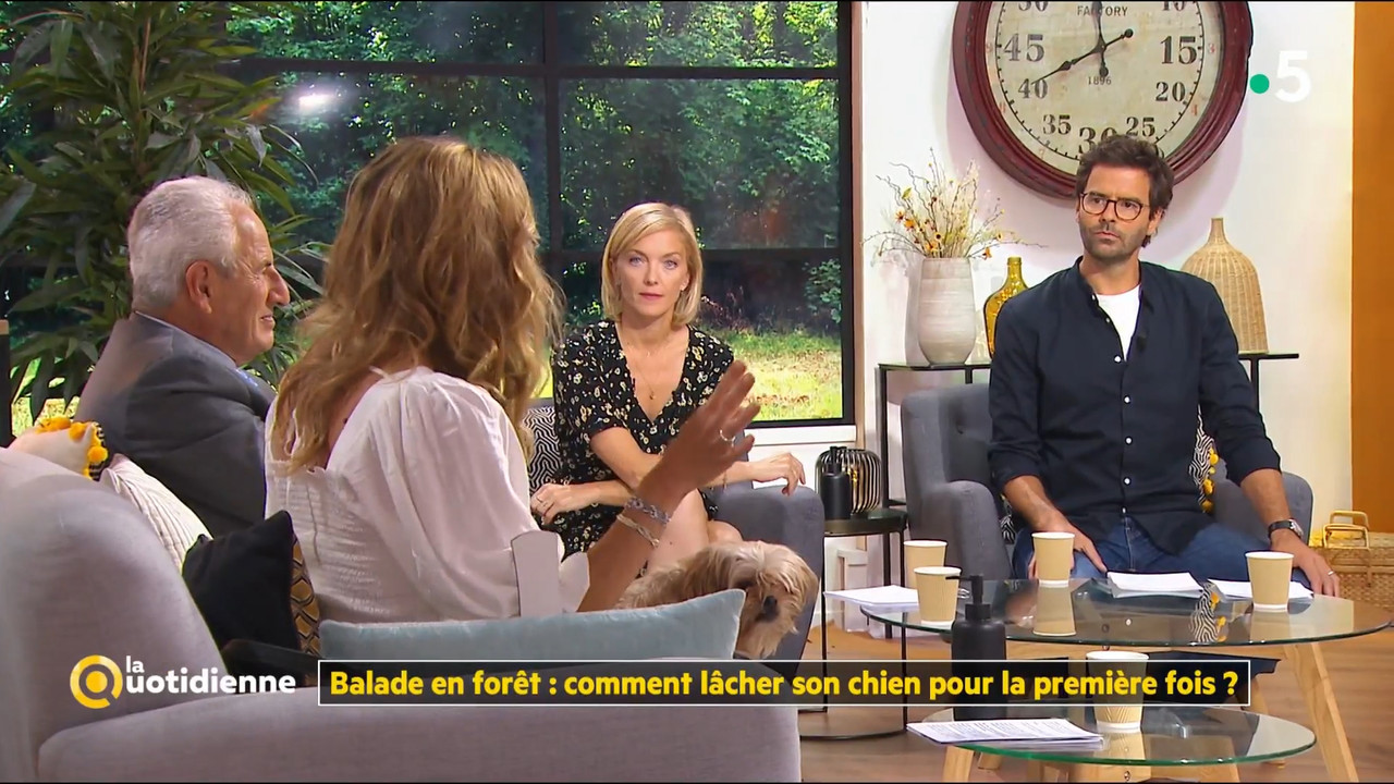 2020-09-09_11_45_Fr5_La-quotidienne.mp4_snapshot_00.38.29.531
