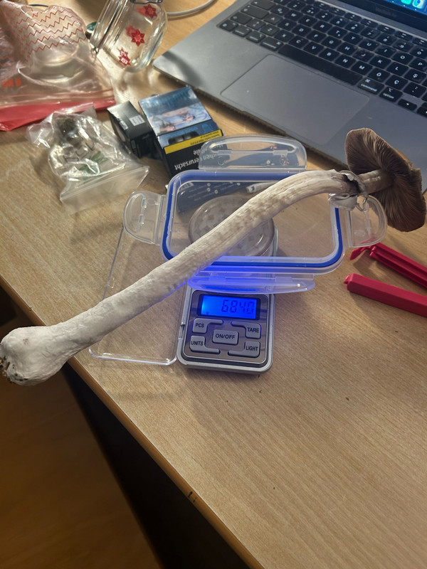 WhatsApp Image 2024-03-09 at 16.16.57 (2)