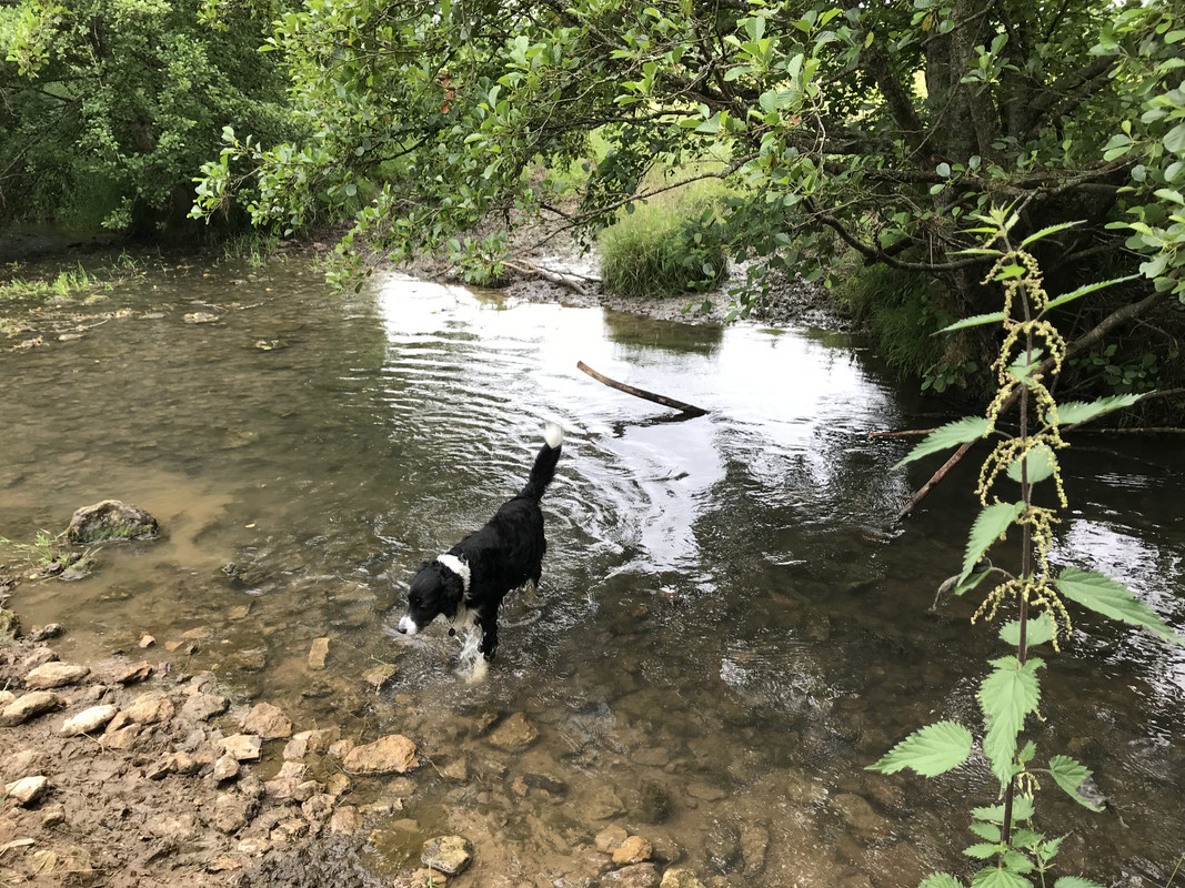 70C4878E-D88B-4304-BF6A-5665C35E354E