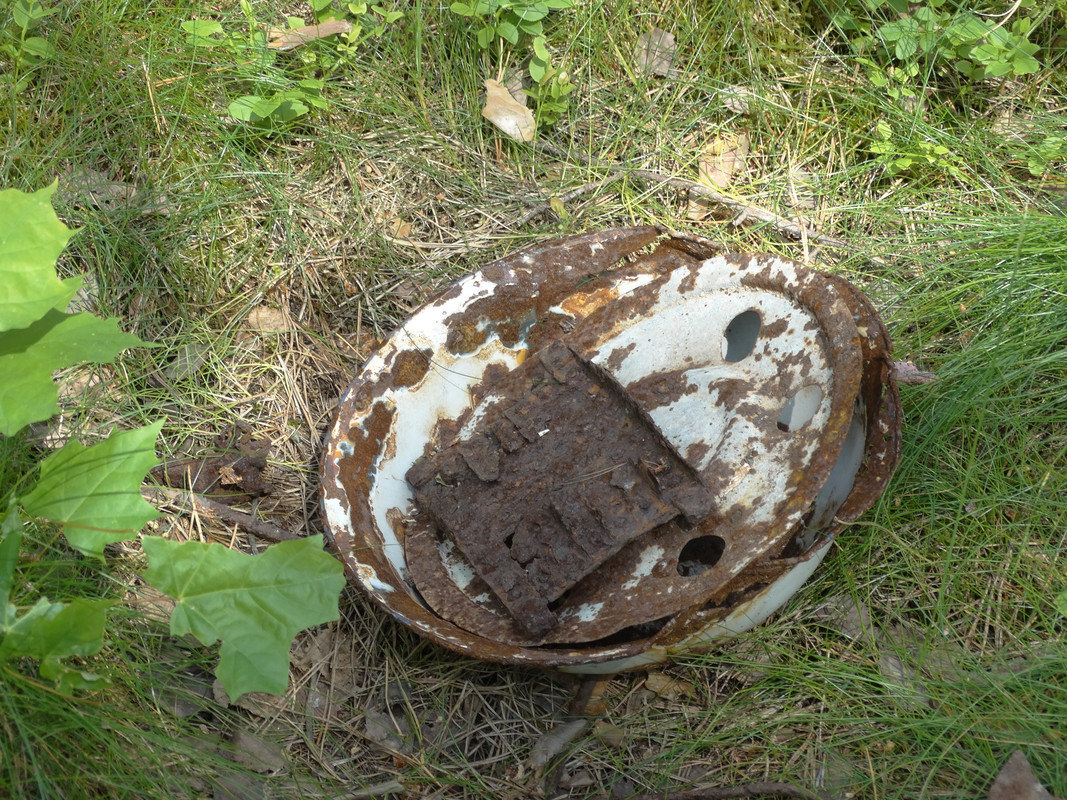 21 - DSC04123 (Czesio1)