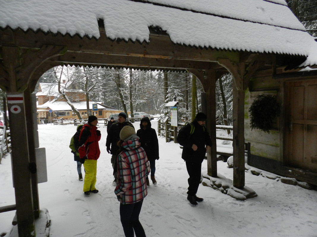 020 - DSCN7439 (Milady)