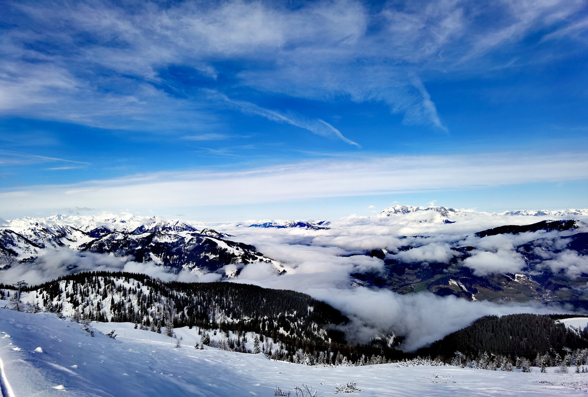 IMG_20220407_093028_edit_875828880185629