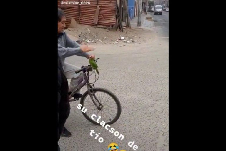 Abuelo usa a su loro como claxon para su bicicleta