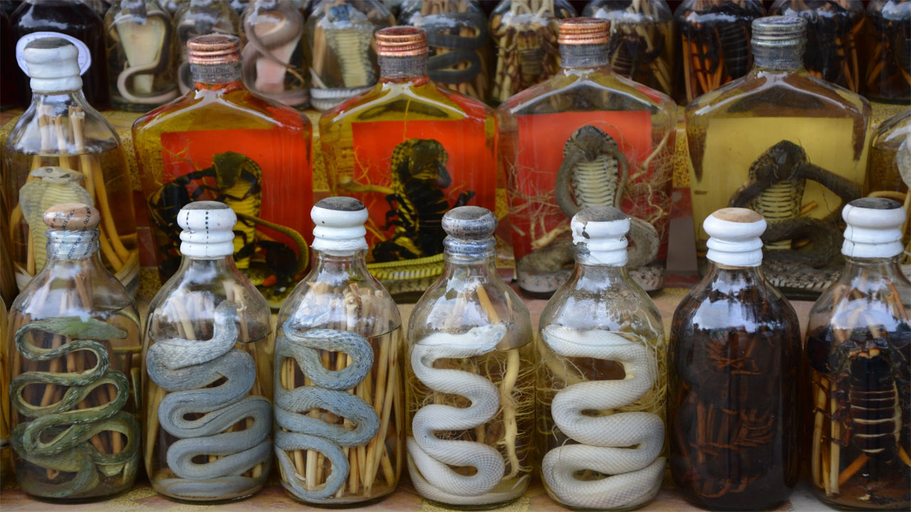 Kuliner Snake Wine
