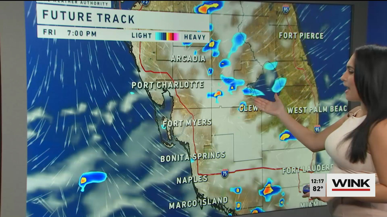 10.14 - 17.00.00 - The WINK Noon News  ᴺᵉʷ. Midday news update..ts_snapshot_23.39.435