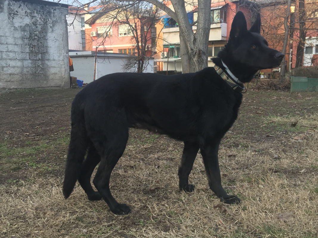 8B5AB478-697A-49A0-8A7A-5690EC1996E6