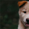 Cute-B-9
