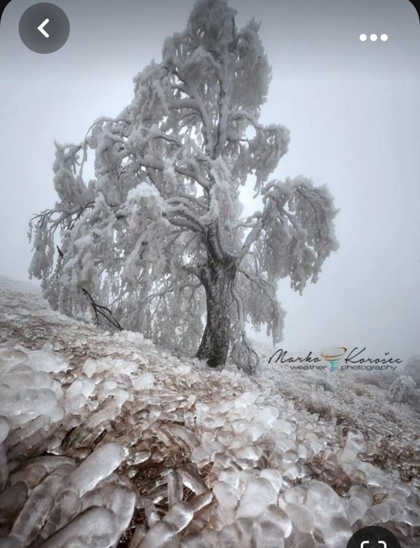 Screenshot_20231101_224007_Pinterest