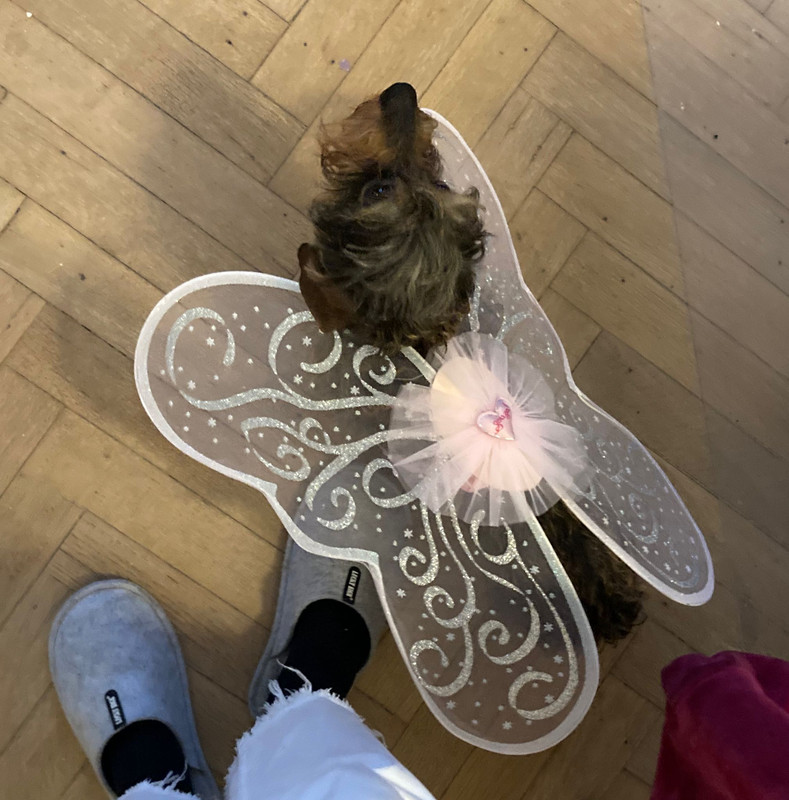 [Image: IMG-20230219-WA0000.jpg]