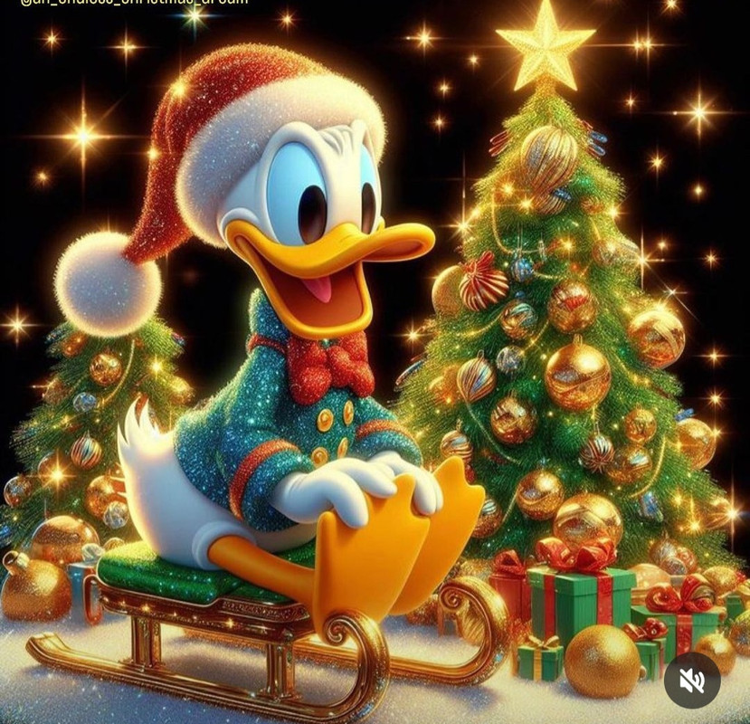 Screenshot_20240111_212832_Instagram