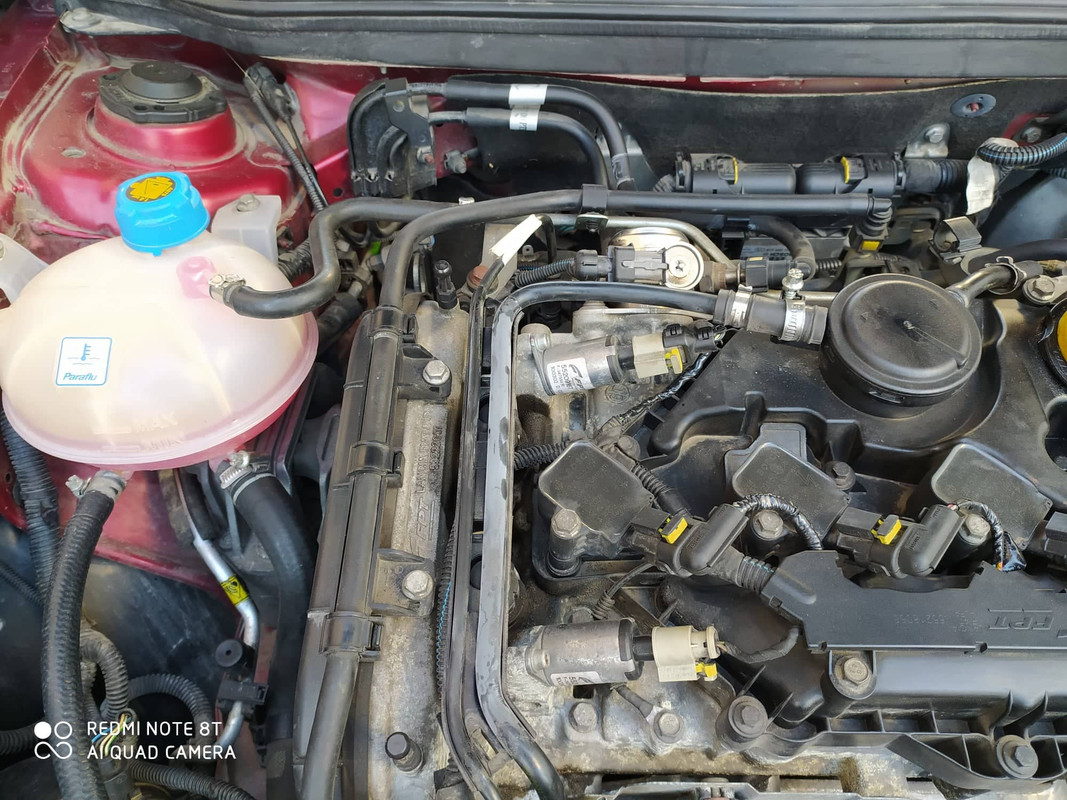 86733084-193217671885442-1298456651820433408-n