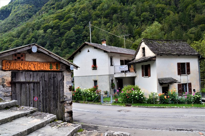 Suiza y sus pueblos-2019 - Blogs de Suiza - LAVERTEZZO-8-9-2019 (20)