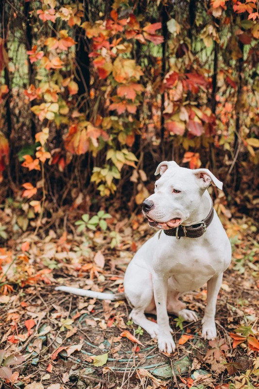 90190BAC-2103-4D4F-9CA1-2F8280C54D39