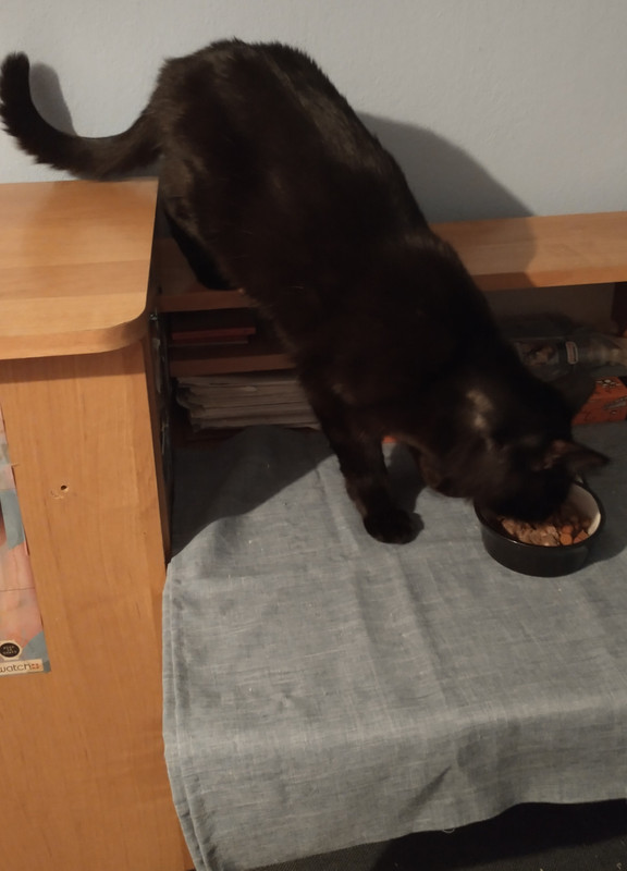 IMG 20260302 224824909 HDR 2