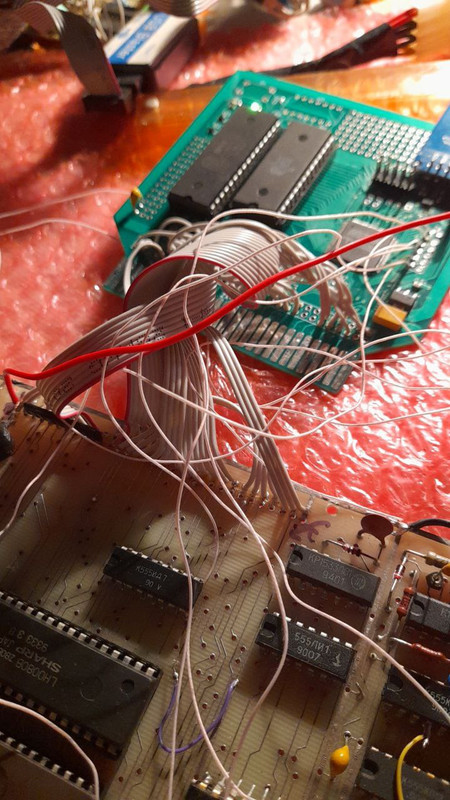 photo_2024-05-12_21-43-47