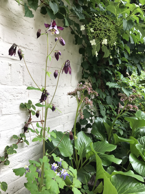 5261DE31-53CA-4812-9A89-0A8AE04A0AFA