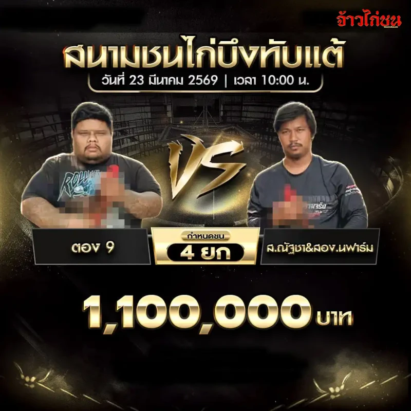 ตอง9 พบ ส.ณัฐชาและสอง.นฟาร์ม โปรแกรมไก่ชน สนามบึงทับแต้