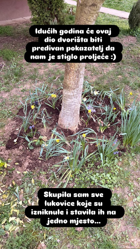 656296823 18578906755041884 4791956794569592851 n