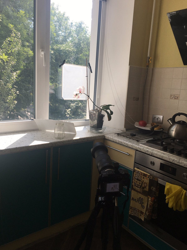 изображение_viber_2022-08-04_19-20-23-522