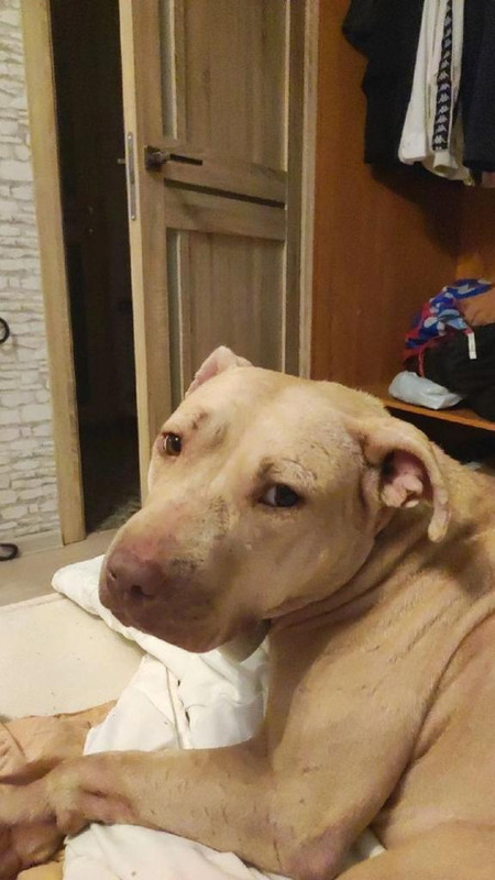 9883DB15-C75B-47DB-9A03-3880B2FC79AF