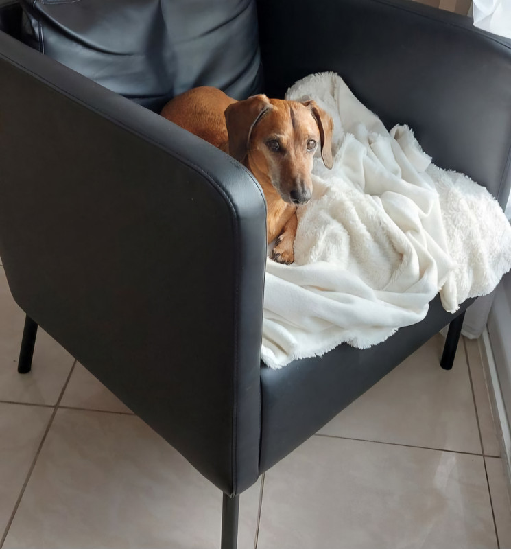 [Image: IMG-20250128-070614.jpg]