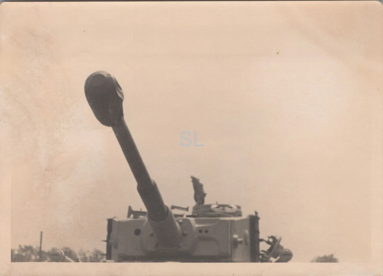 Foto Schwere Panzer Abteilung Kanone Panzer VI Tiger FRA 1943 44 (MBF 99)
