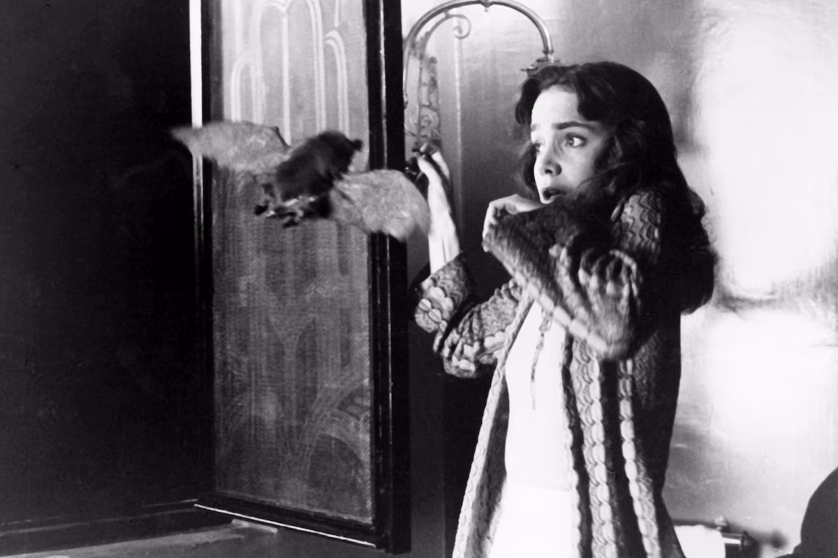 Suspiria 03