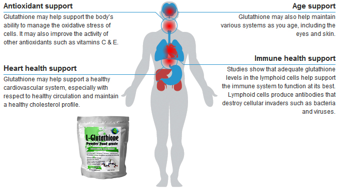 L-Glutathione (Glutathione Reduced) Powder 15g Antioxidant Whitening No