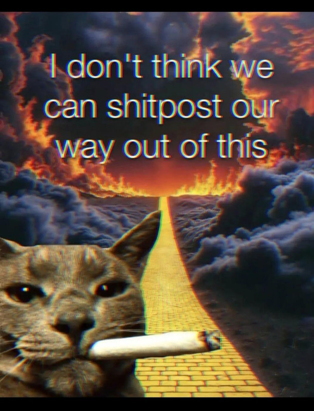h3z5jtn6gywg1.jpg